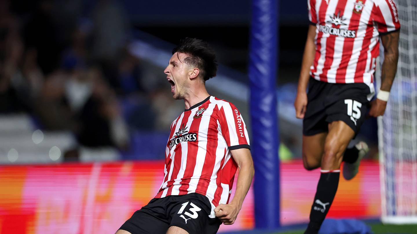 Southampton fans will love this new signing even more after Le Tissier’s reveal