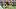 Pittsburgh Steelers wide receiver Germie Bernard (17) Pittsburgh Steelers wide receiver Germie Bernard (17)