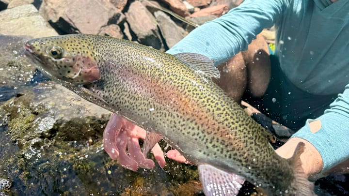 A slippery rainbow. A slippery rainbow.