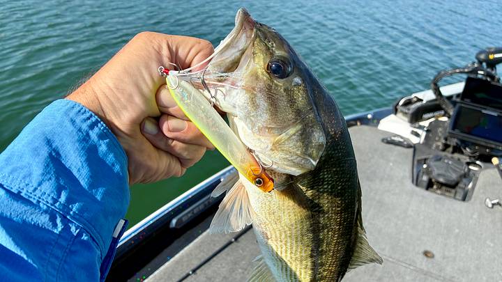 best fishing rod holders for storage KastKing Patented V15 Vertical Holder these racks offer secure Anchovy Special - UV IM6 Graphite Gifting Options:In Flax Gift Box