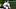 New England Patriots offensive tackle Will Campbell New England Patriots offensive tackle Will Campbell