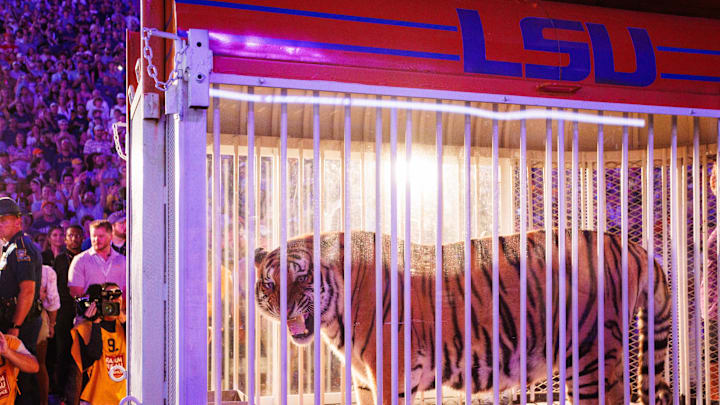 Nov 9, 2024; Baton Rouge, Louisiana, USA;  A live tiger made an appearance on the field before the game between the LSU Tigers and the Alabama Crimson Tide at Tiger Stadium. Mandatory Credit: Stephen Lew-Imagn Images