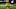 Sam Surridge (left) and Hany Mukhtar (right) Sam Surridge (left) and Hany Mukhtar (right)