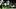 Baylor Bears wide receiver Louis Brown IV Baylor Bears wide receiver Louis Brown IV