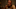 PIG_01443.CR2