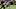 The Minnesota Vikings and New Orleans Saints during an NFL game. The Minnesota Vikings and New Orleans Saints during an NFL game.
