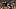 Pittsburgh Steelers cornerback Brandin Echols Pittsburgh Steelers cornerback Brandin Echols