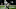 New Orleans Saints cornerback Isaac Yiado New Orleans Saints cornerback Isaac Yiado