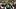 Green Bay Packers quarterback Kyle McCord Green Bay Packers quarterback Kyle McCord