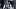 New England Patriots safety Dell Pettus New England Patriots safety Dell Pettus