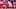 Nebraska running back Isaiah Mozee breaks off a gain against Bowling Green on Saturday at Memorial Stadium. Nebraska running back Isaiah Mozee breaks off a gain against Bowling Green on Saturday at Memorial Stadium.