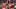 Yordan Alvarez, Isaac Parede Yordan Alvarez, Isaac Parede