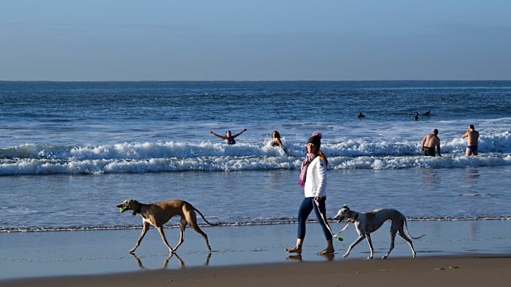 Participants Enjoy New Year's Day Dip At Carcavelos Beach