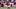 LSU quarterback Husan Longstreet LSU quarterback Husan Longstreet