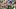 oregon ducks football big ten autzen stadium dan lanning spring game eugene fans