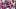 Fantasy Football, T.J. Hockenson, Minnesota Vikings