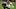 New England Patriots wide receiver Kyle Dixon New England Patriots wide receiver Kyle Dixon