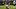 Chicago Bears wide receiver Luther Burden III Chicago Bears wide receiver Luther Burden III