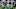 Aug 11, 2023; Miami Gardens, Florida, USA; Miami Dolphins quarterback Mike White (14) leads the Aug 11, 2023; Miami Gardens, Florida, USA; Miami Dolphins quarterback Mike White (14) leads the