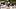 New Orleans Saints tight end Juwan Johnson fantas New Orleans Saints tight end Juwan Johnson fantas
