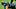 Fantasy Football, Brenton Strange, Jacksonville Jaguars