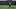 ameer abdullah ameer abdullah