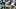 nfl nfl