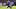 LSU wide receiver Eugene Wilson III LSU wide receiver Eugene Wilson III