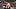 Bayley and Lyra Valkyria Bayley and Lyra Valkyria