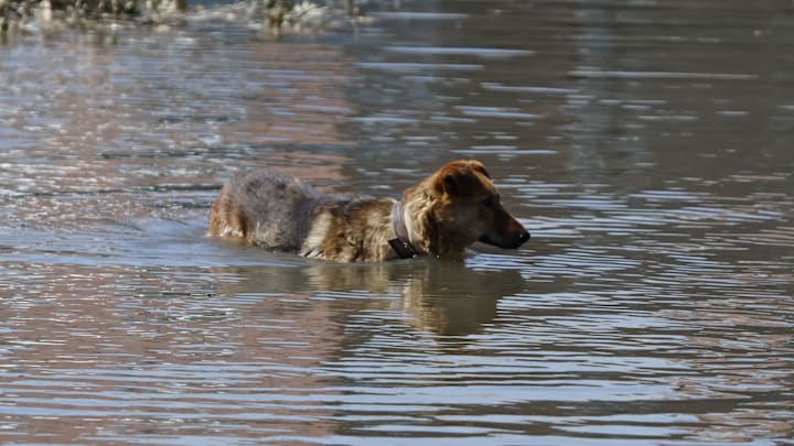 Part Of Kherson Flooded After The Russians Blew Up The Kakhovka Hydroelectric Power Plant