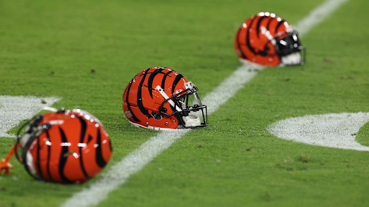 Cincinnati Bengals v Baltimore Ravens