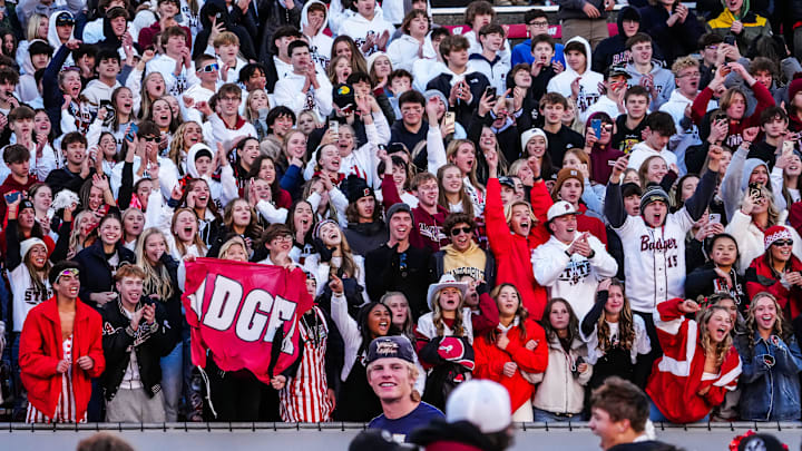Badger fans go crazy as their team wins the WIAA Division 2 state championship football game, 34-33, over Waunakee at Camp Randall Stadium in Madison on Friday, November 17, 2023.