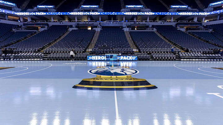 Minnesota Timberwolves
