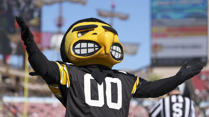 Dec 31, 2025; Tampa, FL, USA; Iowa Hawkeyes mascot Herky the Hawk reacts after a play against the Vanderbilt Commodores in the second quarter during the ReliaQuest Bowl at Raymond James Stadium. Mandatory Credit: Nathan Ray Seebeck-Imagn Images