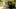 Kristine Frøseth and Leighton Meester in "The Buccaneers," premiering June 18, 2025 on Apple TV+ Kristine Frøseth and Leighton Meester in "The Buccaneers," premiering June 18, 2025 on Apple TV+