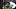 Baylor defensive lineman Jamaal Whyce Jr. takes questions Baylor defensive lineman Jamaal Whyce Jr. takes questions