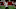 Wisconsin tight end Grant Stec. Wisconsin tight end Grant Stec.
