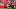 Wisconsin Badgers quarterback Colton Joseph. Wisconsin Badgers quarterback Colton Joseph.