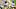 Pittsburgh Steelers quarterbacks Aaron Rodgers Pittsburgh Steelers quarterbacks Aaron Rodgers
