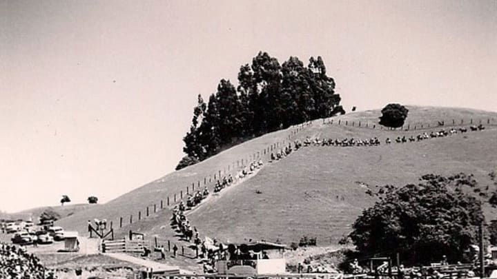 Harry's Hills at the Rowell Ranch Rodeo 