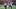New York Giants linebacker Zaire Barnes (46) and linebacker Tremaine Edmunds (49) New York Giants linebacker Zaire Barnes (46) and linebacker Tremaine Edmunds (49)