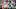 Louisville Cardinals quarterback Lincoln Kienholz Louisville Cardinals quarterback Lincoln Kienholz