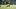 Josh Jacob