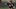 Chicago White Sox pitcher Jonathan Cannon ( Chicago White Sox pitcher Jonathan Cannon (
