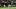 Miami Marlins second baseman Xavier Edwards Miami Marlins second baseman Xavier Edwards