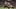Texas A&M Aggies quarterback Marcel Reed Texas A&M Aggies quarterback Marcel Reed