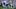 nfl nfl