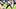 New England Patriots wide receiver A.J. Brown New England Patriots wide receiver A.J. Brown