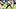 New England Patriots wide receiver A.J. Brown New England Patriots wide receiver A.J. Brown