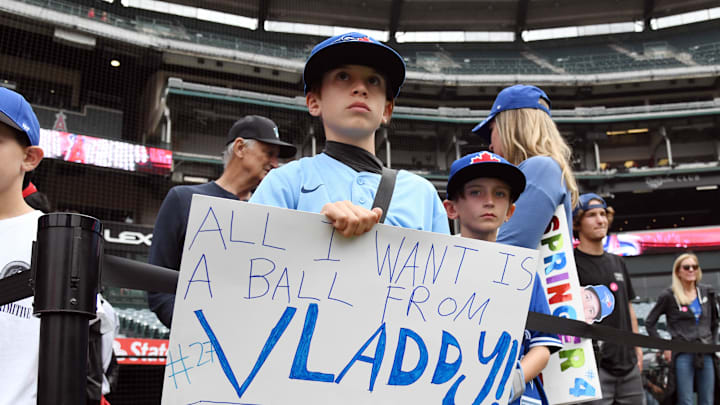 Toronto Blue Jays fan